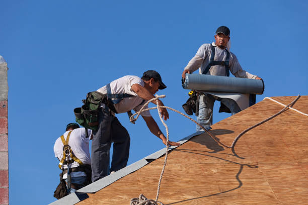 Roof Gutter Cleaning in Spanish Fort, AL